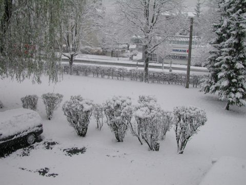 Schnee in Innsbruck