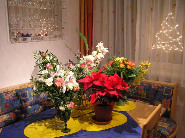 Ein Blumenmeer in meiner weihnachtlich dekorierten Wohnung